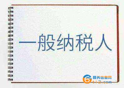 新野县一般纳税人公司认定
