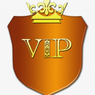 商务信息网至尊VIP会员免费使用模板，适用于灯饰企业