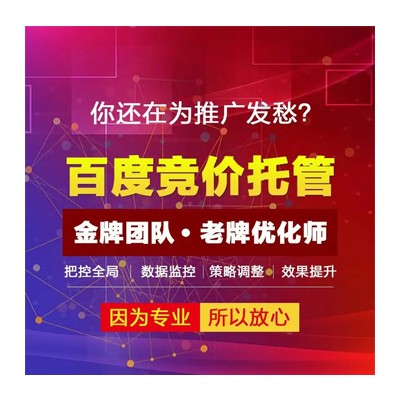 桐柏县百度竞价账户托管服务内容报价