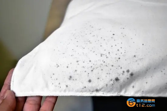 衣服发霉用什么洗掉霉斑