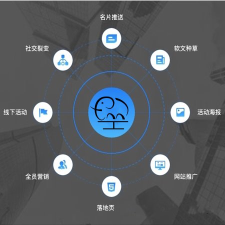 企业品牌营销矩阵网络推广代运营